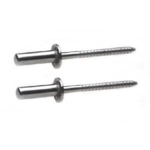China Polishing Hardware Rivets Round Head Stainless Steel Pop Rivets 3.2mm Close End supplier