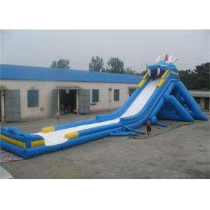China Outdoor Adult Giant Inflatable Water Slide , Massive Inflatable Slide For Amusement Park supplier