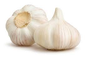 China Wholesale Importer Chinese Garlic Fresh on sale 