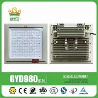 China Gas Station Explosion Proof Led Flood Light Flame Proof ATEX Approved on sale