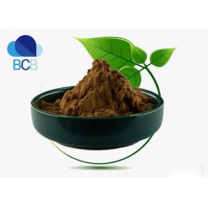 99% Dietary Supplements Ingredients Herb Panax Ginseng Extract Powder