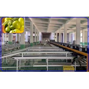 2 Channel Olive Fruit Grading Machine Intelligent Computer Control