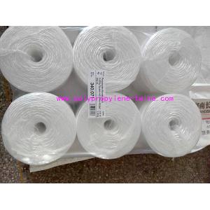 China Raw White Polypropylene Twine Packing Rope Lt021 Diameter 1mm - 6mm supplier