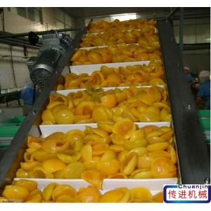                  Stainless Steel Elevator Conveyor Belt Conveyor Price for Washing Vegetable and Fruit             