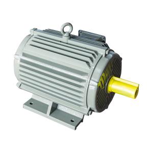 China Electrico 380v Squirrel Cage Induction Motor 3 Phase High Voltage supplier