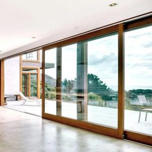 Impact T5 Aluminum Frame Double Glass Sliding Door With Top Accessories
