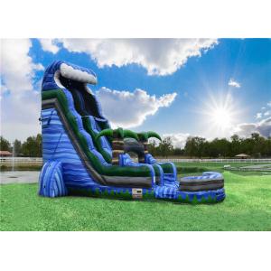 Professional Party Water Slide Jumper Fun Pool Side Popular Safe Ended Durable