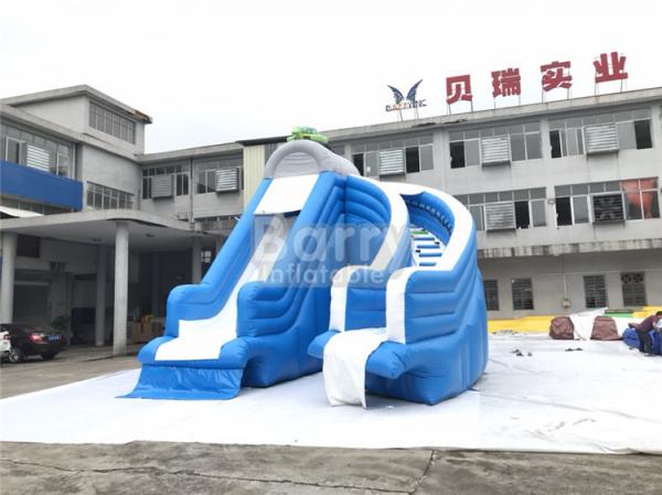 Cool Splash Fun Inflatable Pool Slide , Realistic Shape Tortoise Water Slide For