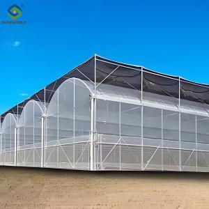 China Stable Structure Agricultural Farming Greenhouse Multi Span For Plant Growing wholesale