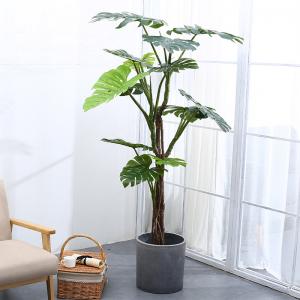 China 175cm Height Artificial Tropical Tree Green Foliage Plant Monstera For Home Decor supplier