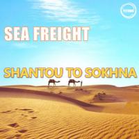 China Ocean Sea Freight From China To Egypt Sokhna International Freight Forwarder on sale