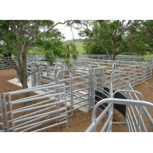 China Horse 6 Bars Galvanized 30*60mm Corral Panel Fence supplier