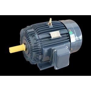 Industrial Three-Phase Induction Motor IP55 Protection F Level