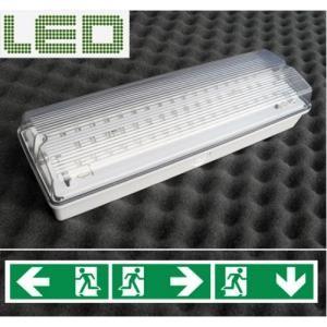 China Emergency Bulkhead Light in IP 65  with Over-charge and Over-discharge protection supplier