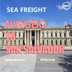 Frete de mar internacional profissional de Ningbo a San Salvador Via ACAJUTLA