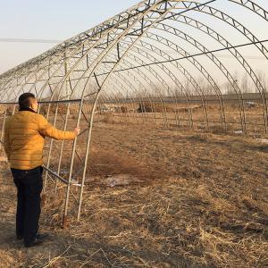 China Double Arches Double Film Agricultural Growing 10X50m Single Span Greenhouse supplier