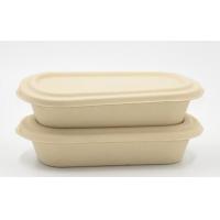 1000ml Biodegradable Straw pulp food container 2 compartments paper food tray with PP lid
