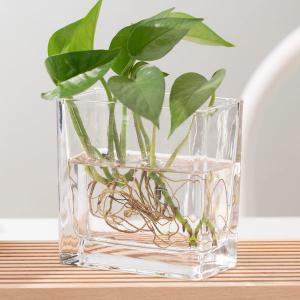 Transparent 350ml Home Decoration Glass Pressed Small Rectangle Glass Vase