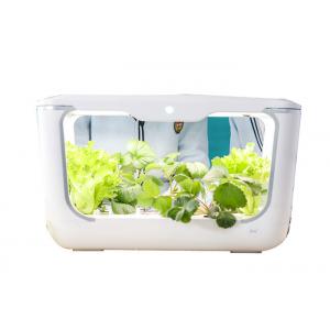 Self Watering Garden Germination Hydroponic Growing Systems