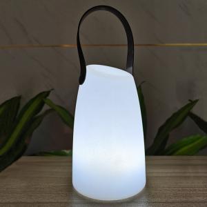 Plastic Portable LED Lamp Wireless Remote Control For Garden
