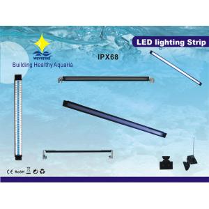 China 10000K 6W bas éclairage marin puissant de l'aquarium LED de la tension UVA LSP pour l'eau douce, étangs supplier