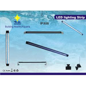 China Blue, White LED Bulb 220 - 240V 8W Customized LSP Marine Aquarium Light LED For Freshwater supplier
