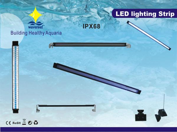 Blue, White LED Bulb 220 - 240V 8W Customized LSP Marine Aquarium Light LED For