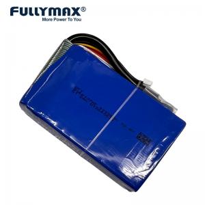 China 400A Fast Charge Lipo Battery 4000mah 12.8V 40C Lithium Iron Phosphate Batteries Power Bank supplier
