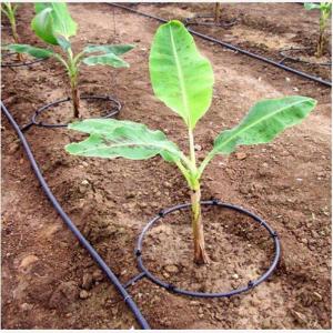 China Food Grade PVC Irrigation Fertilization System Drip And Sprinkler Irrigation System supplier