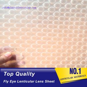 PLASTIC LENTICULAR 3d 360 degrees fly eye film plastic lenticular fly eye lens sheet material with image