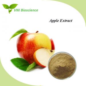 Apple Extract 50% 75% 80% Polyphenols 29106-49-8 Malus Domestica Extract