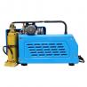 220 volt 50hz single phase/three phase/gasoline engine breathing air compressor