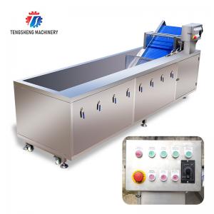 China 240KG 380V Automatic stainless steel fruit washing machine fruit cleaning equipment supplier