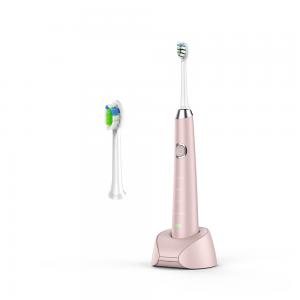 China 800mAh IPX7 Pink Battery Operated Electric Toothbrush For Teeth Whitening supplier