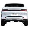 China Innovative Fully Electric SUV Luxurious Intelligent SUV EV BYD Song Plus wholesale