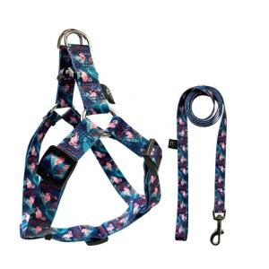 Flamingo Style Collar Lead Harness Set Dog Harness Lead Set For Training Walking