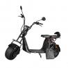 China Ecorider 2 Wheel Electric Scooter 1500w EEC City Coco LED Turn Light With Fat Tire wholesale