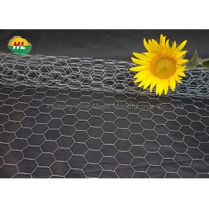 China Galvanized 1.2x13x0.7mm Mesh Hexagonal Wire Netting For Pet Cages supplier