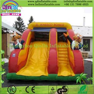 High Quality Small Indoor/Outdoor Inflatable Slide, Cartoon Slide, Commercial Grade