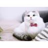 China Cat Dog Bowtie Red Pink Small Large Bow Tie Dog Collar Christmas Support wholesale