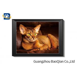 China Cute Cat Lenticular Printing Picture With Frame 40 x 40 cm PET 0.65 mm supplier