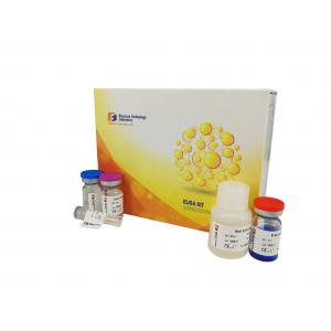 China 4 Ttlr4 Mouse Elisa Kit Toll - Like Receptor 96 Wells Precision / Sensitivity supplier