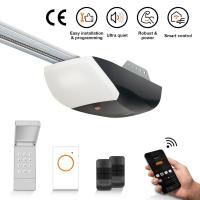 China 24VDC 1200N 260W Smart WiFi Garage Door Opener on sale