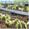 Small Greenhouse Irrigation System / Greenhouse Auto Watering System