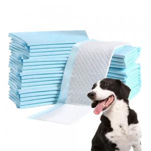 China Sustainable Pet Supply Dog Training Pads with High Absorbency and Breathable PE Back Film supplier