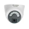 China Waterproof Dome Security Camera Wide Angle Function NVR Data Storage C2240TQ-10D wholesale