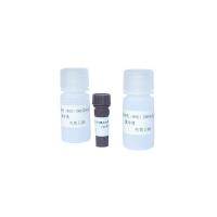 China Sperm Reactive Oxygen Species DHE Staining Kit For ROS Flow Cytometry on sale