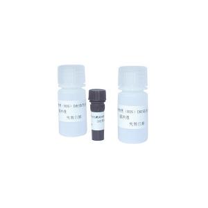 Sperm Reactive Oxygen Species DHE Staining Kit For ROS Flow Cytometry