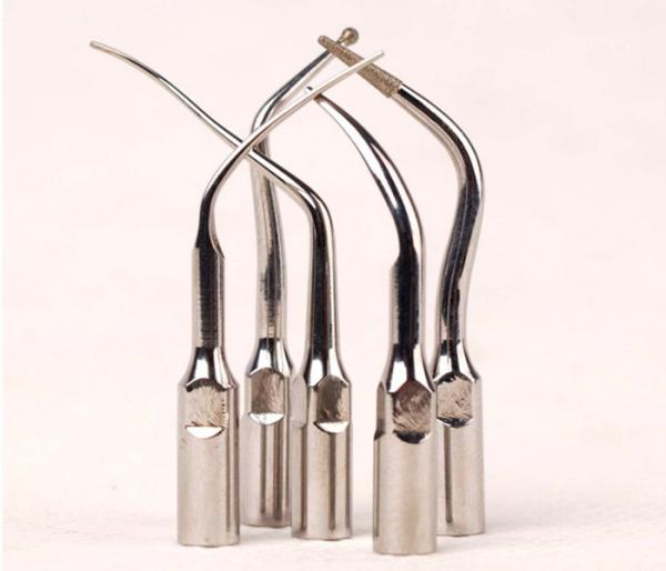 Stainless Steel Dental Ultrasonic Scaler Perio Endo Scaling Tips