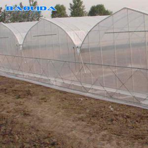 China Sunlight Plastic Film Greenhouse / Plastic Sheeting Rolls Greenhouse supplier